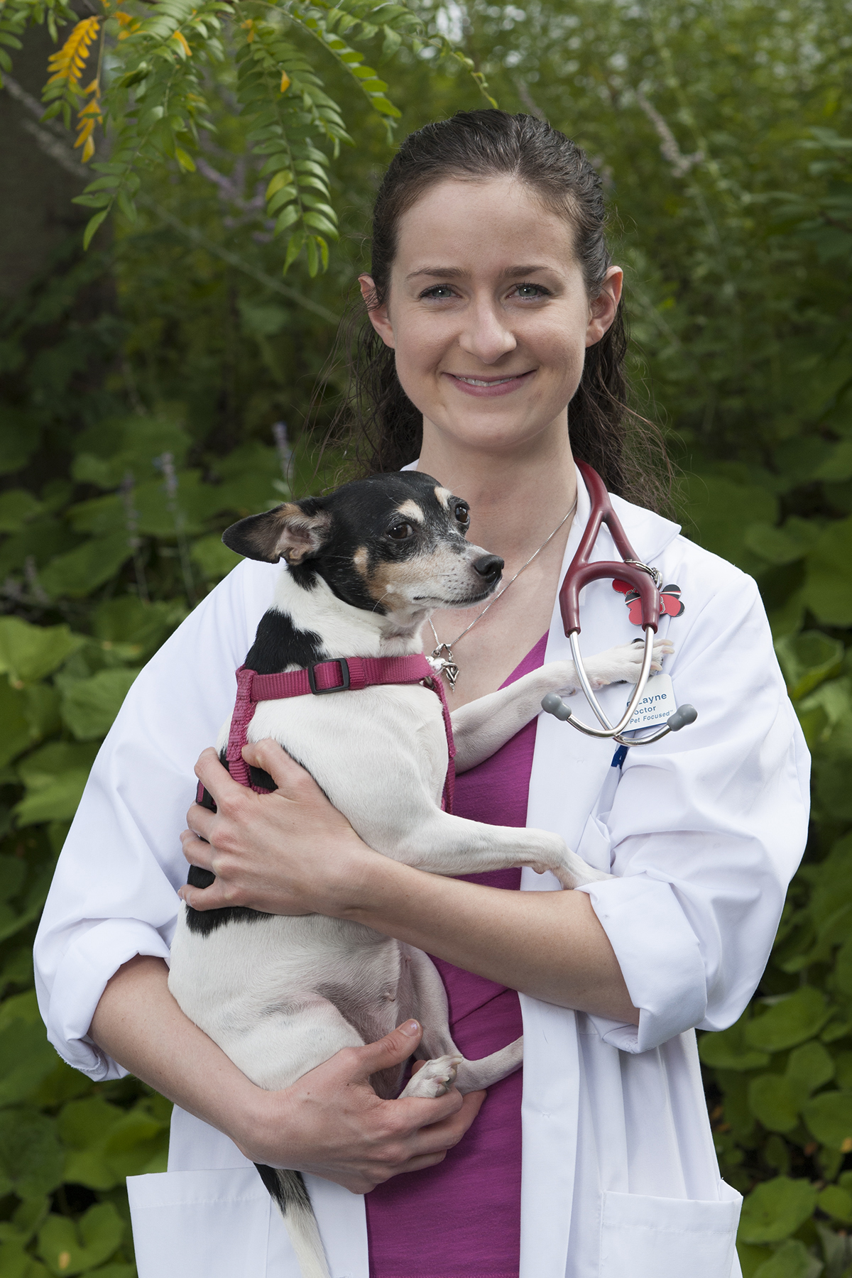 Shannon Layne, DVM and VCA Dunmore Animal Hospital Now Offer Stem Cell
